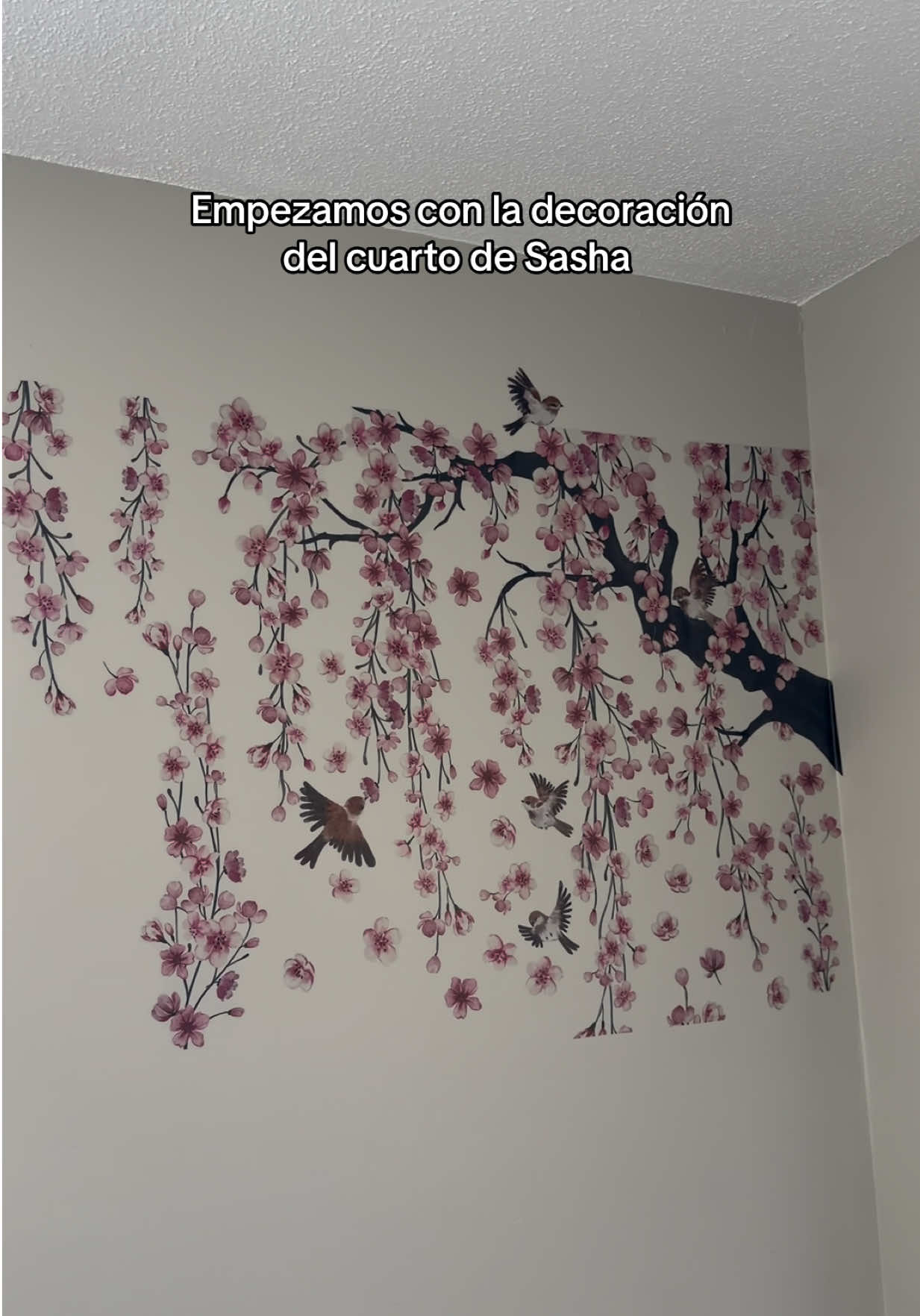 @Aprende con / Carolina