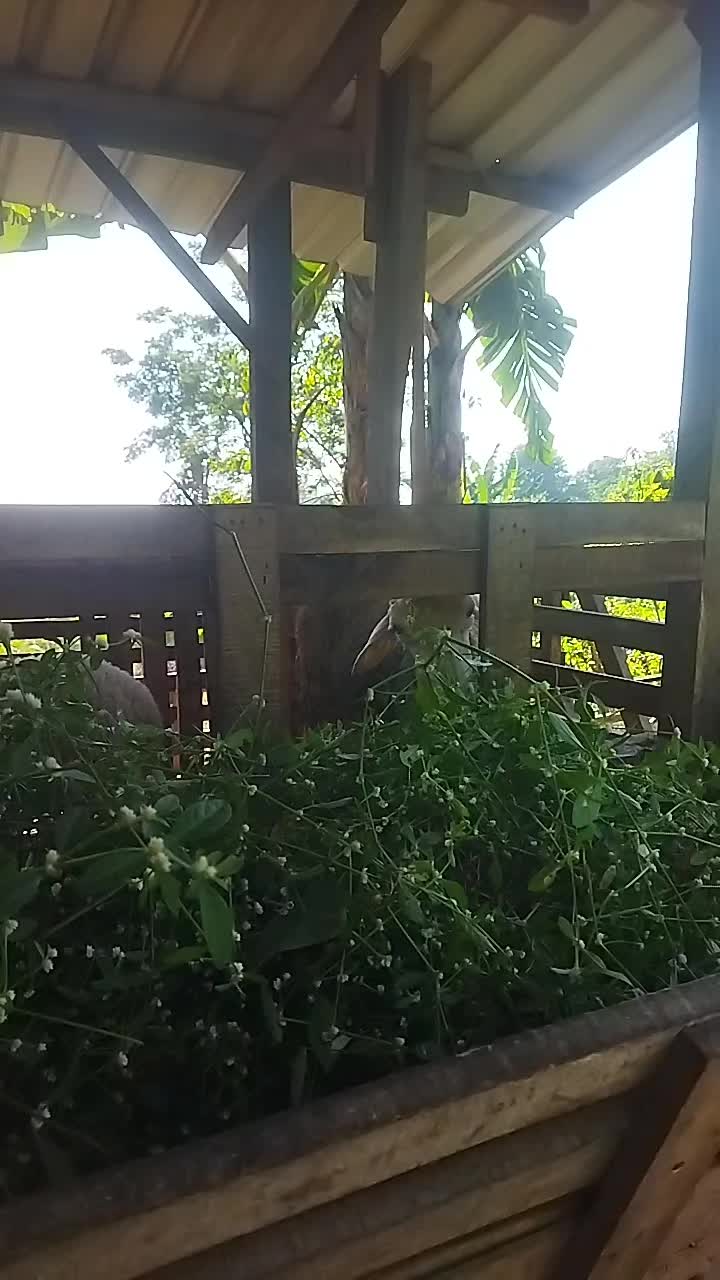 @I'm A Farmer