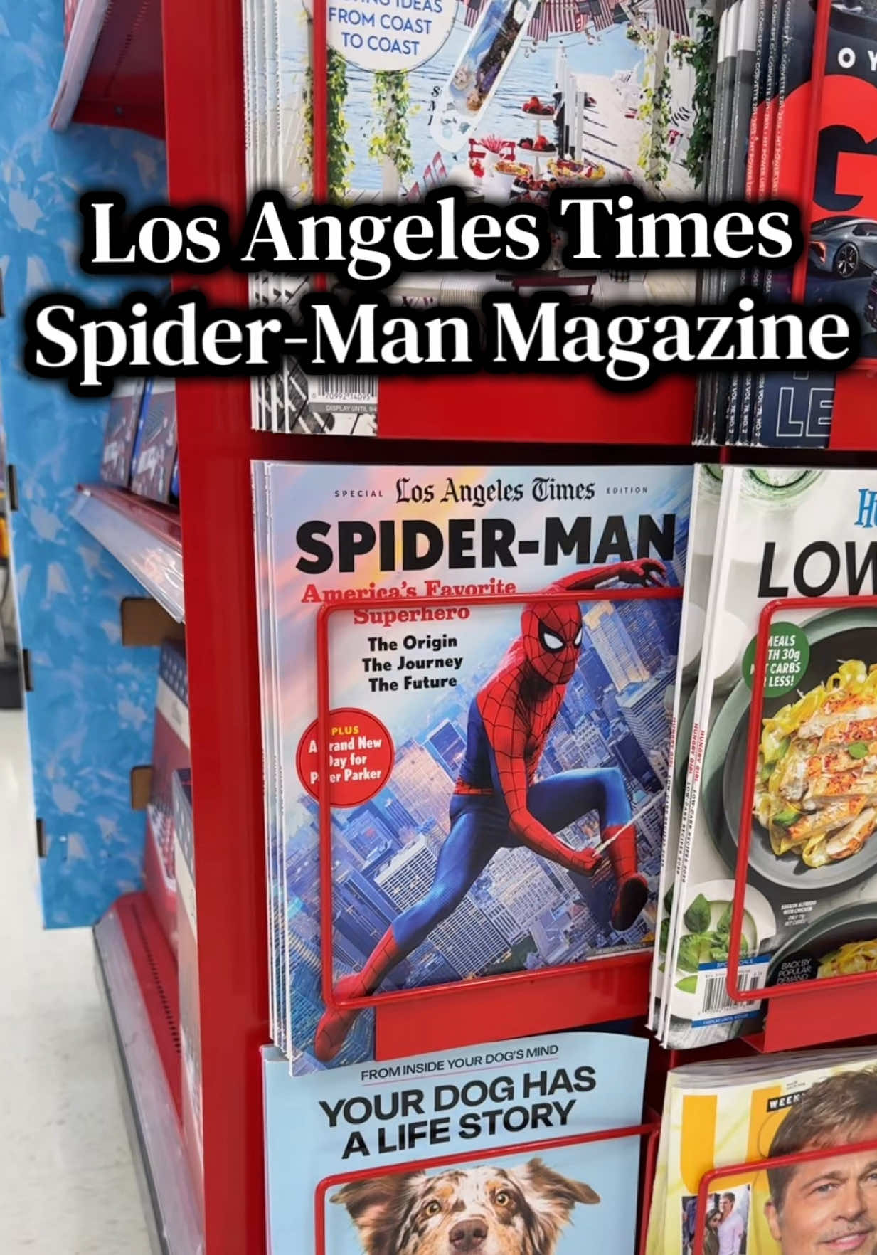 @Spideyken🕸️