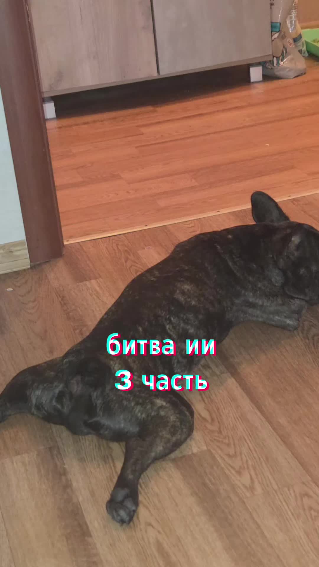 @SaFoAlXz✌️🧼 zina's #1 fan