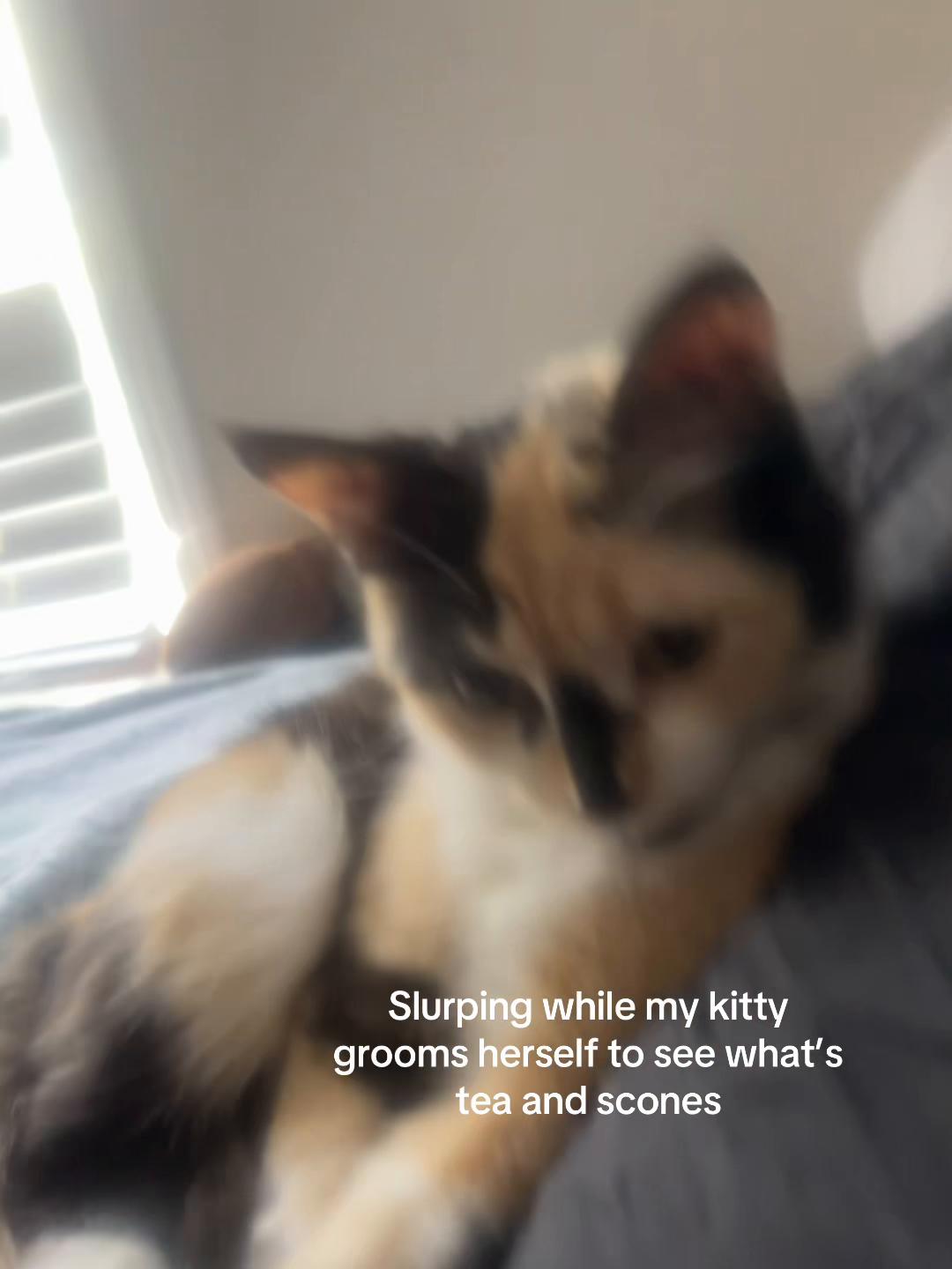 @jo