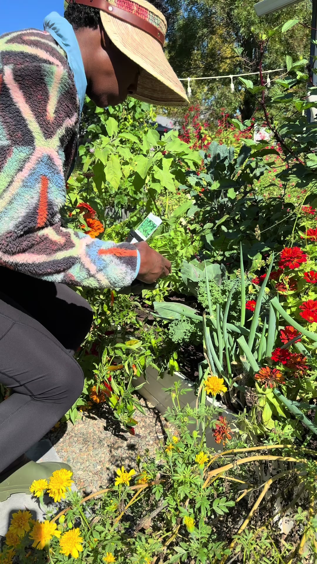 @curlycultivators