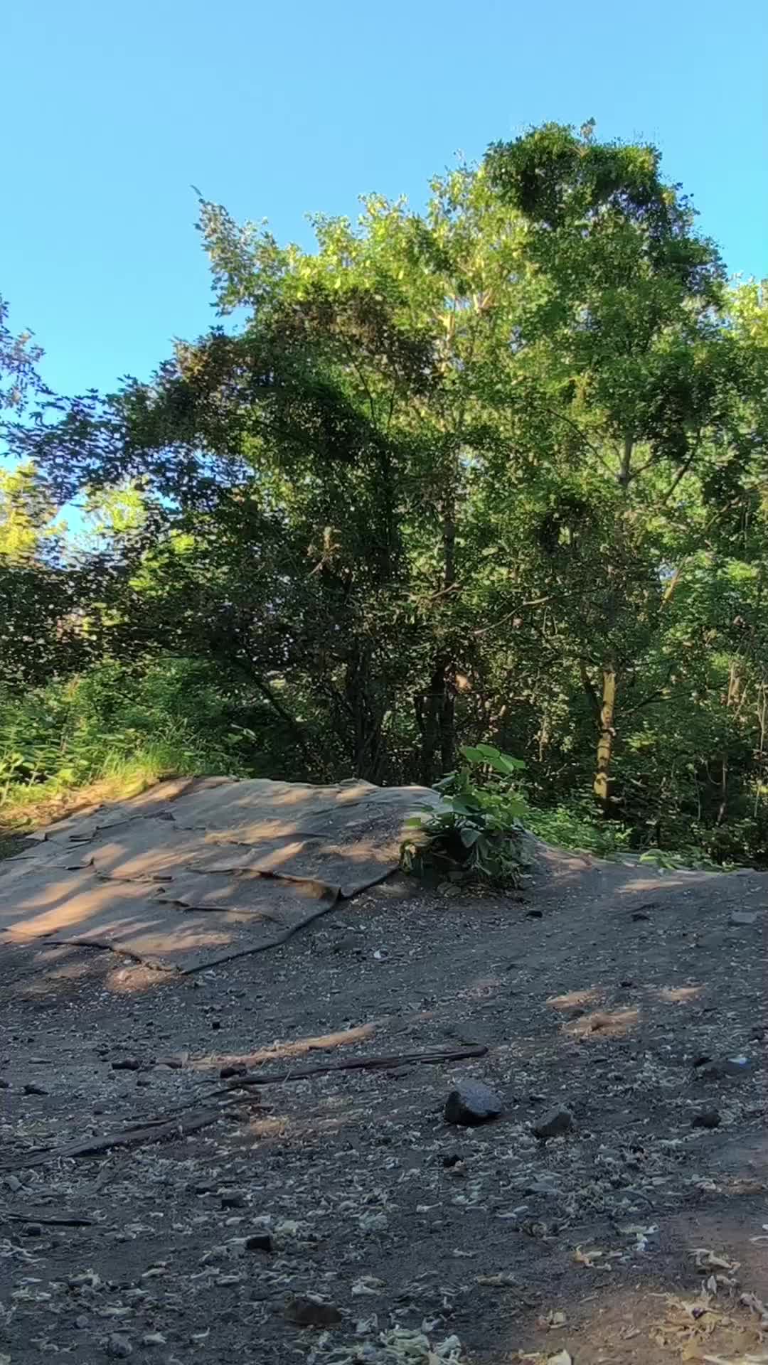 @LX_On_MTB