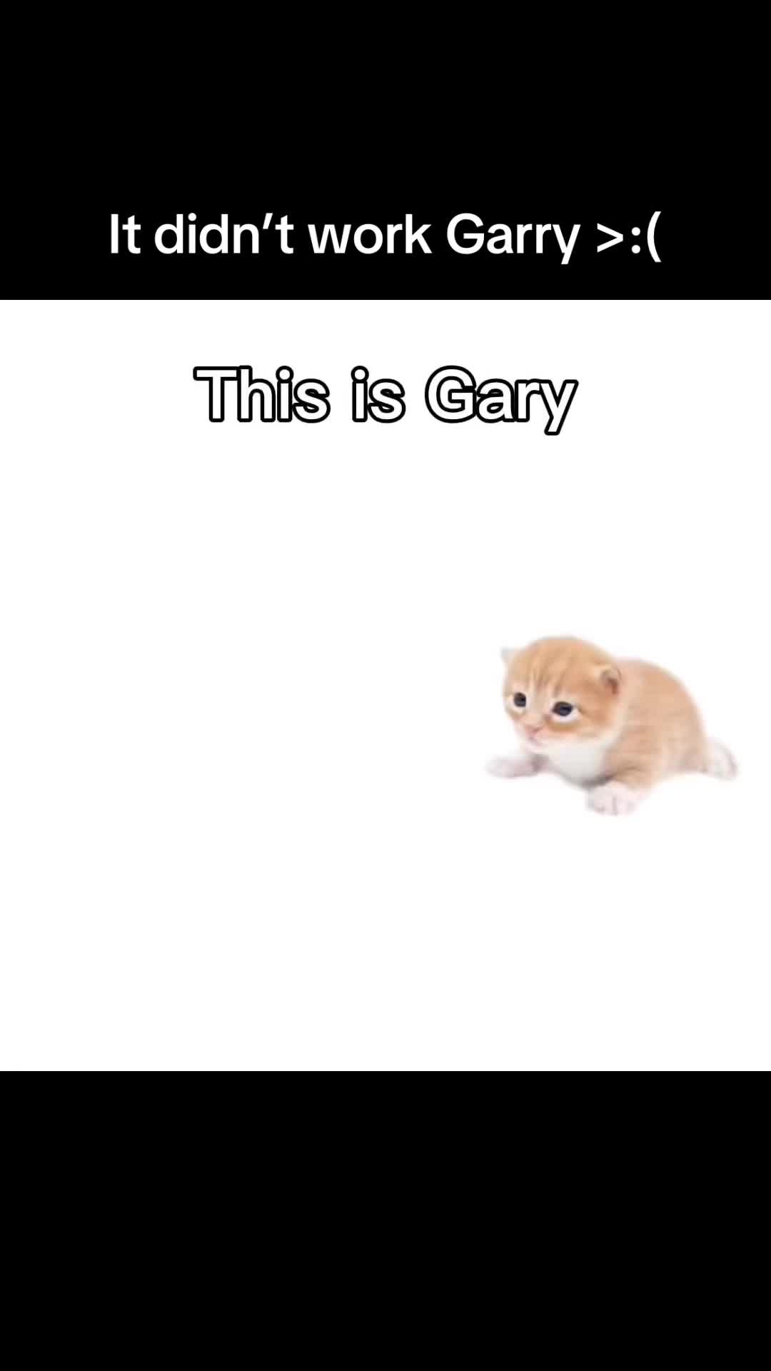 @:/
