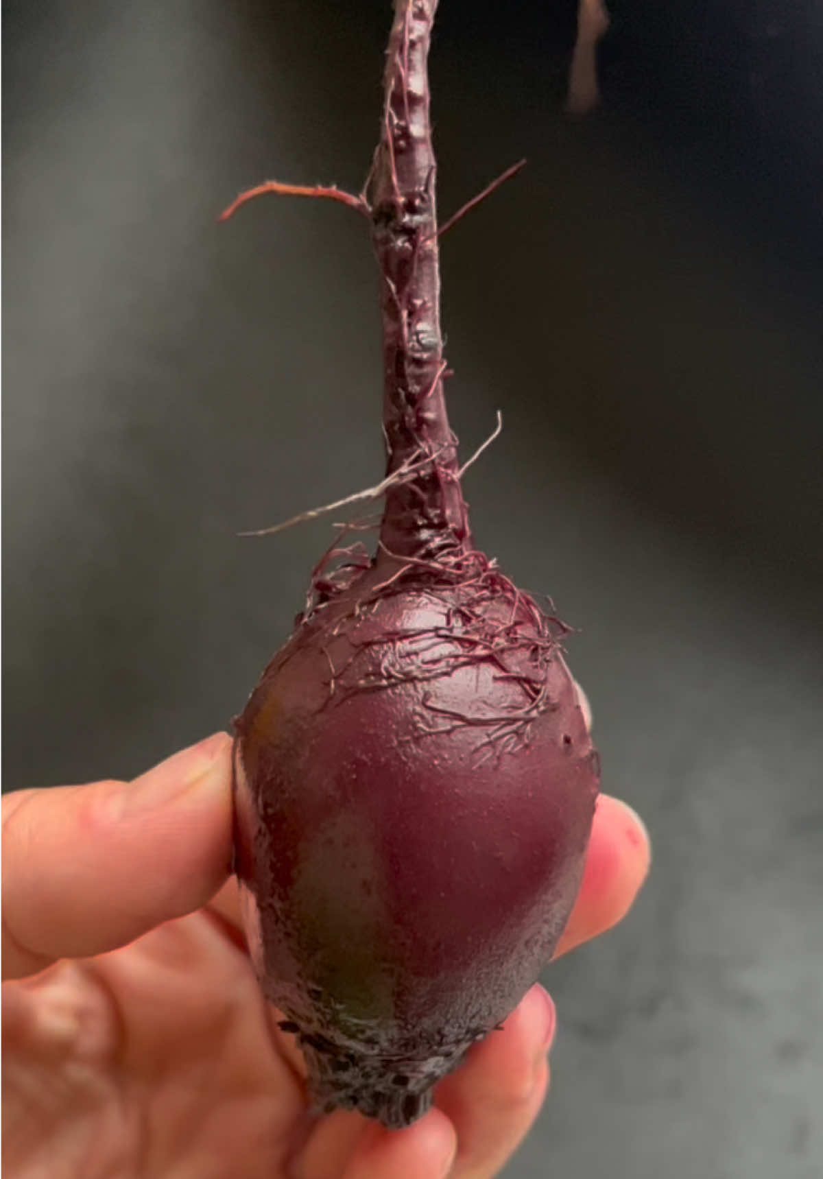 @Fruit Boom