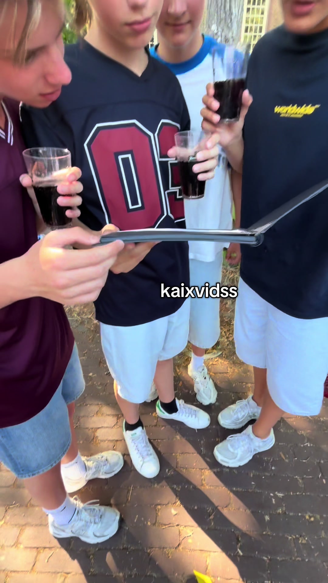 @kaixvidss