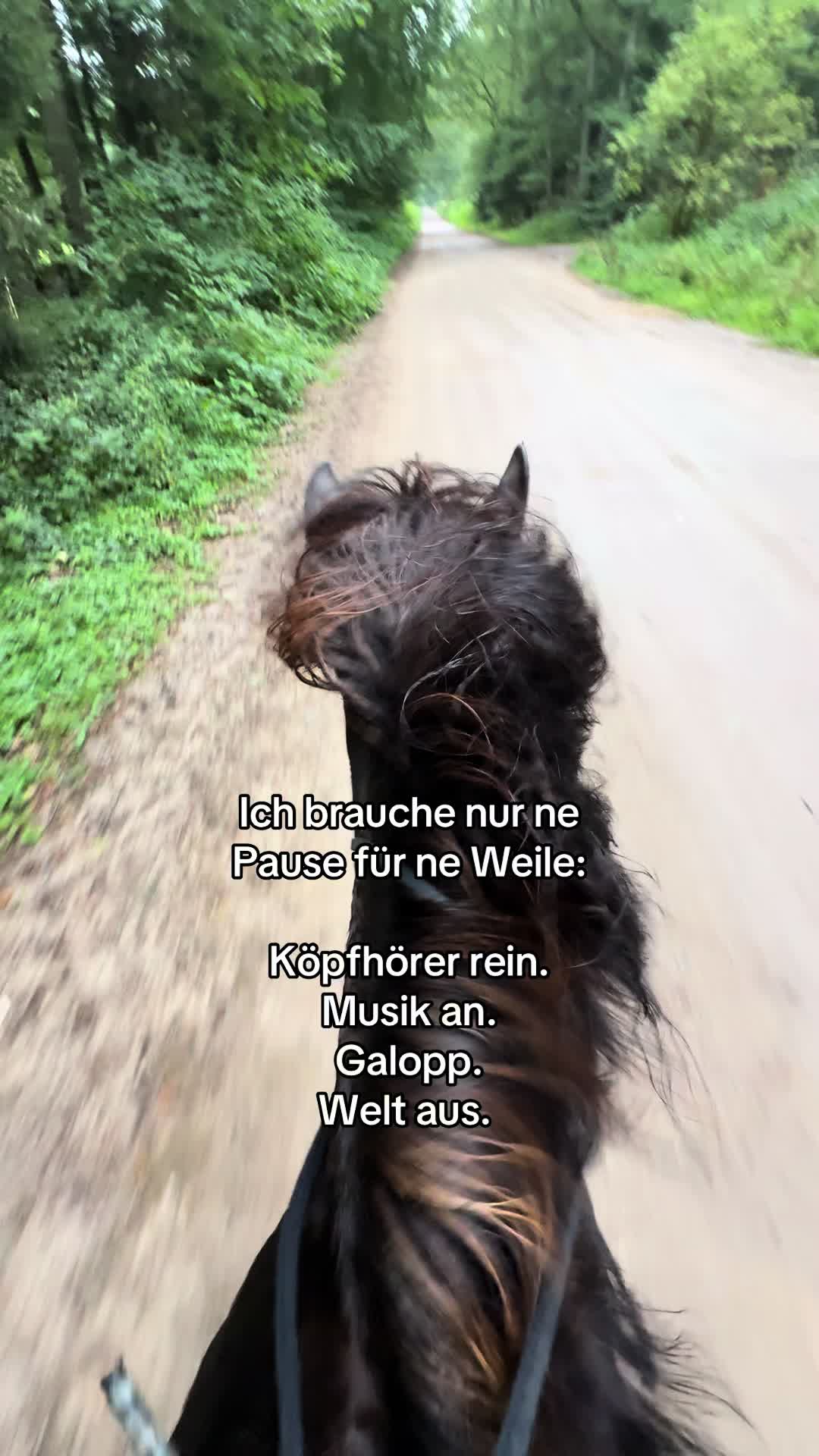 @Háli<3