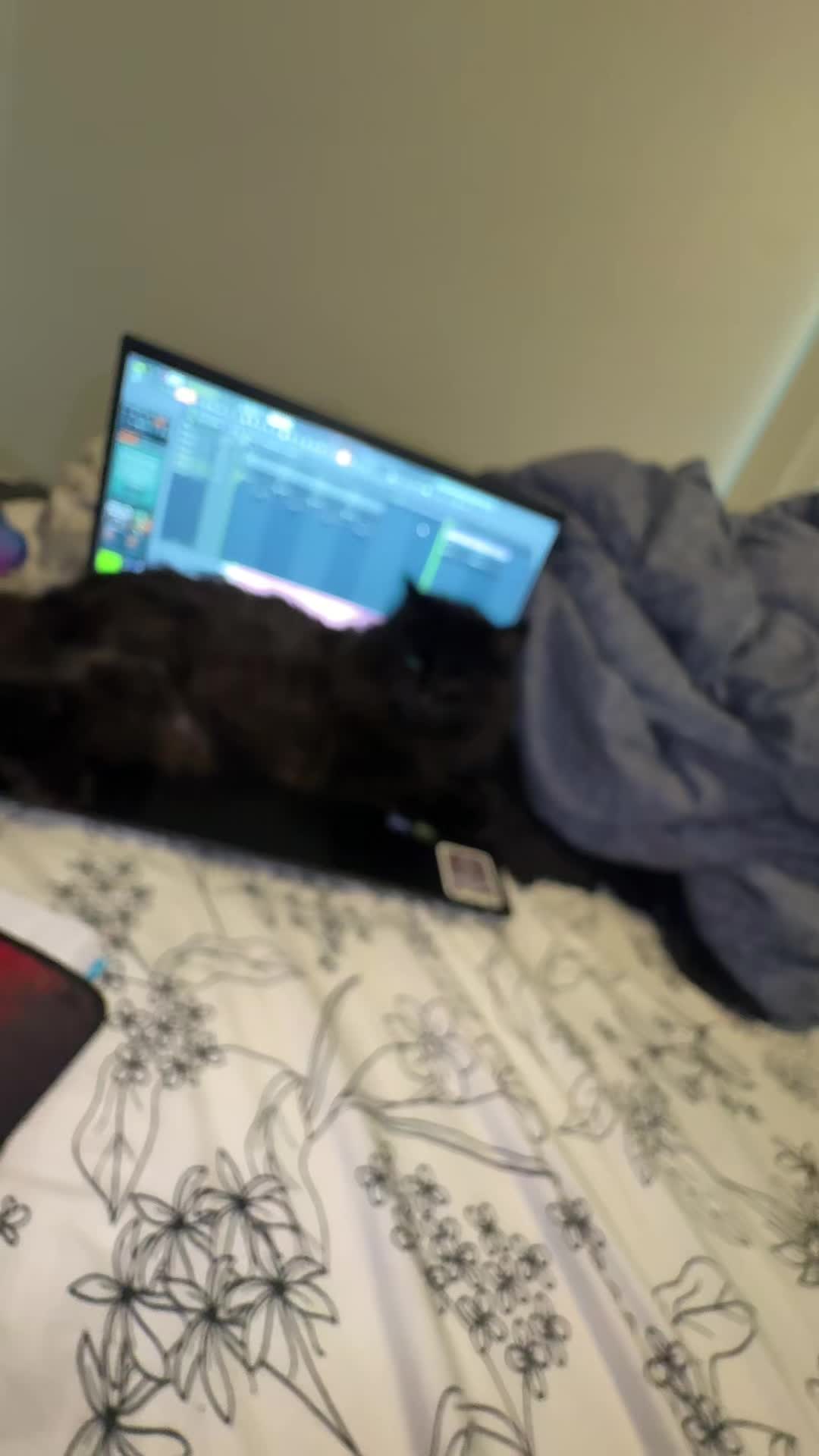 @kat 💕🫶