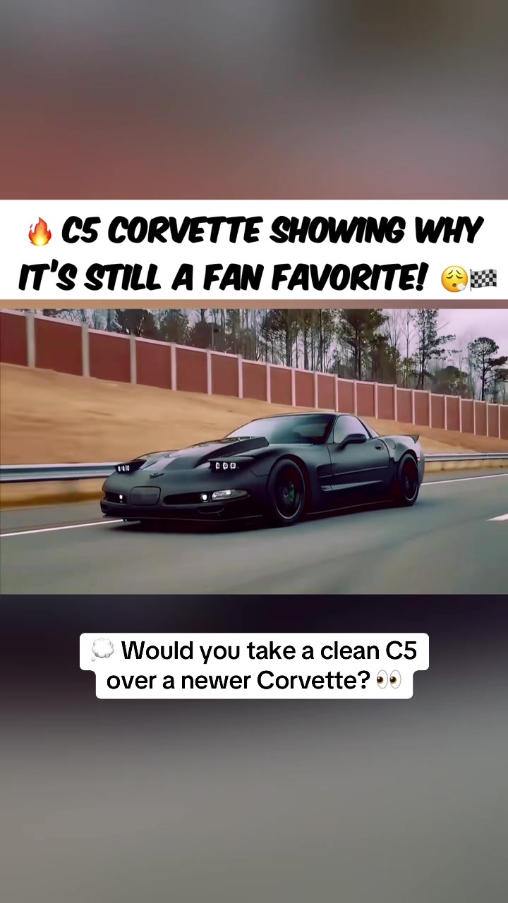 @Muscle Cars