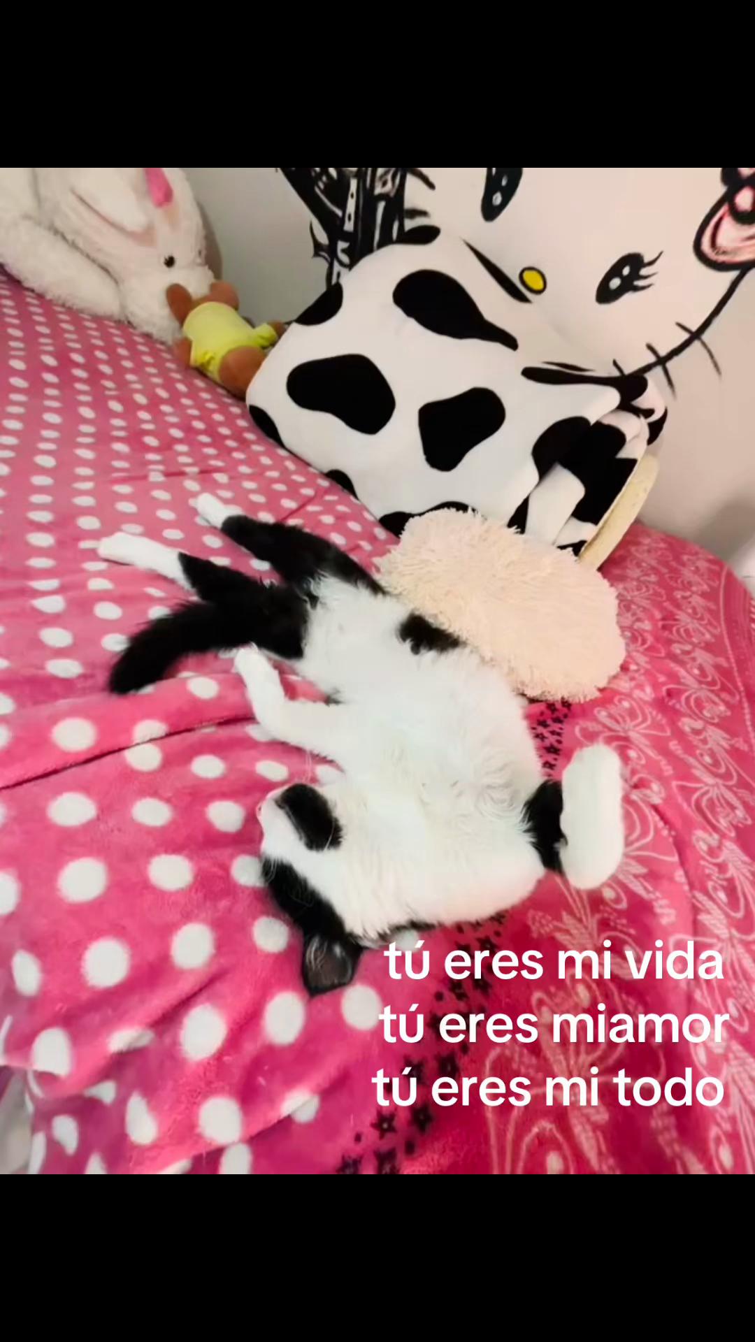 @Lizet💋