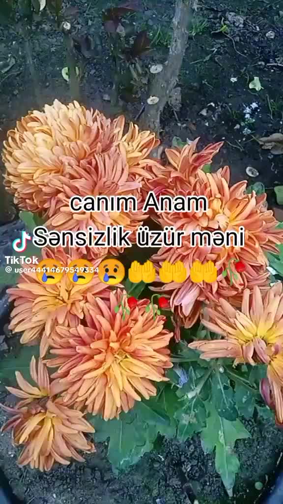 @canıma can katan evlatlarım ❤️