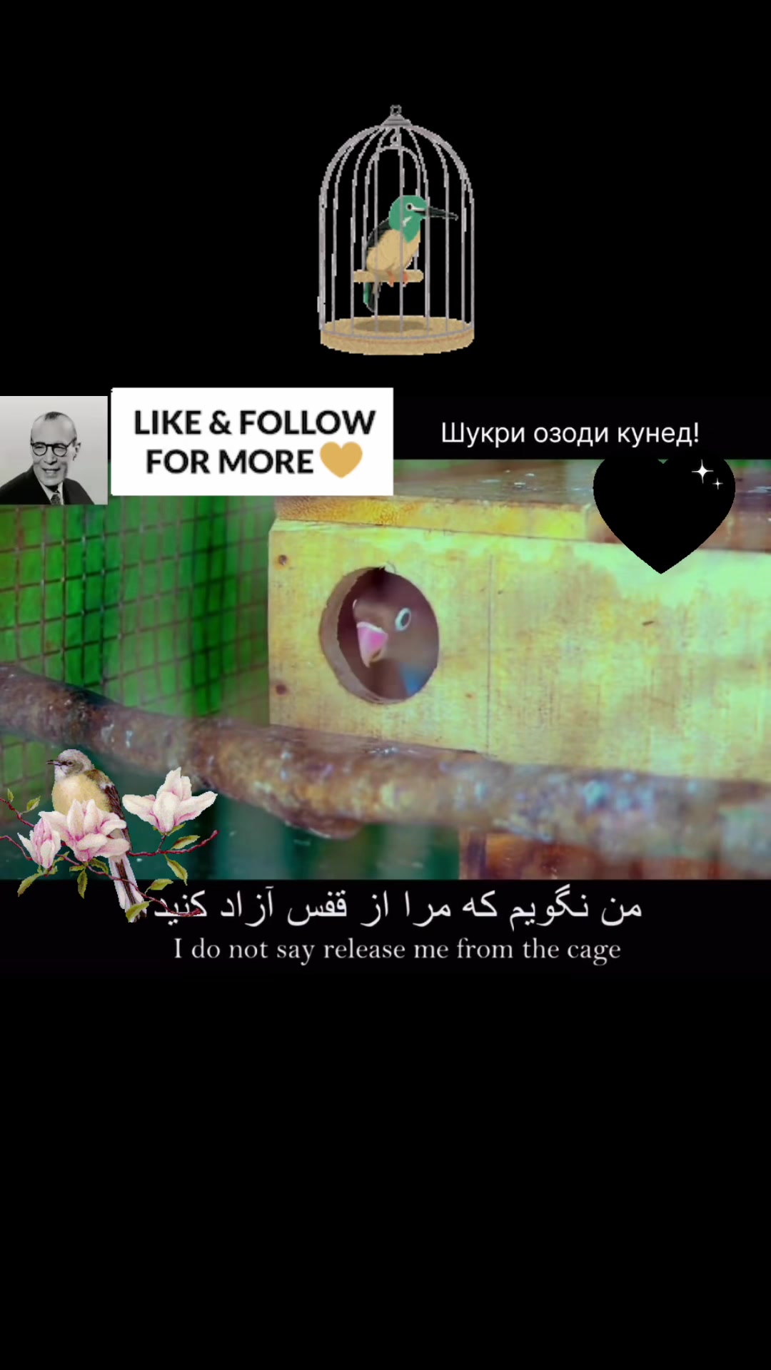 @Nila/نیلا