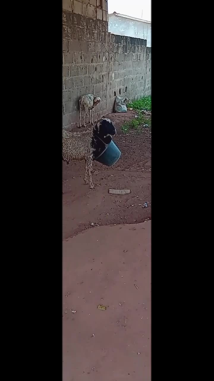 @OUSMANE DOUMBOUYA