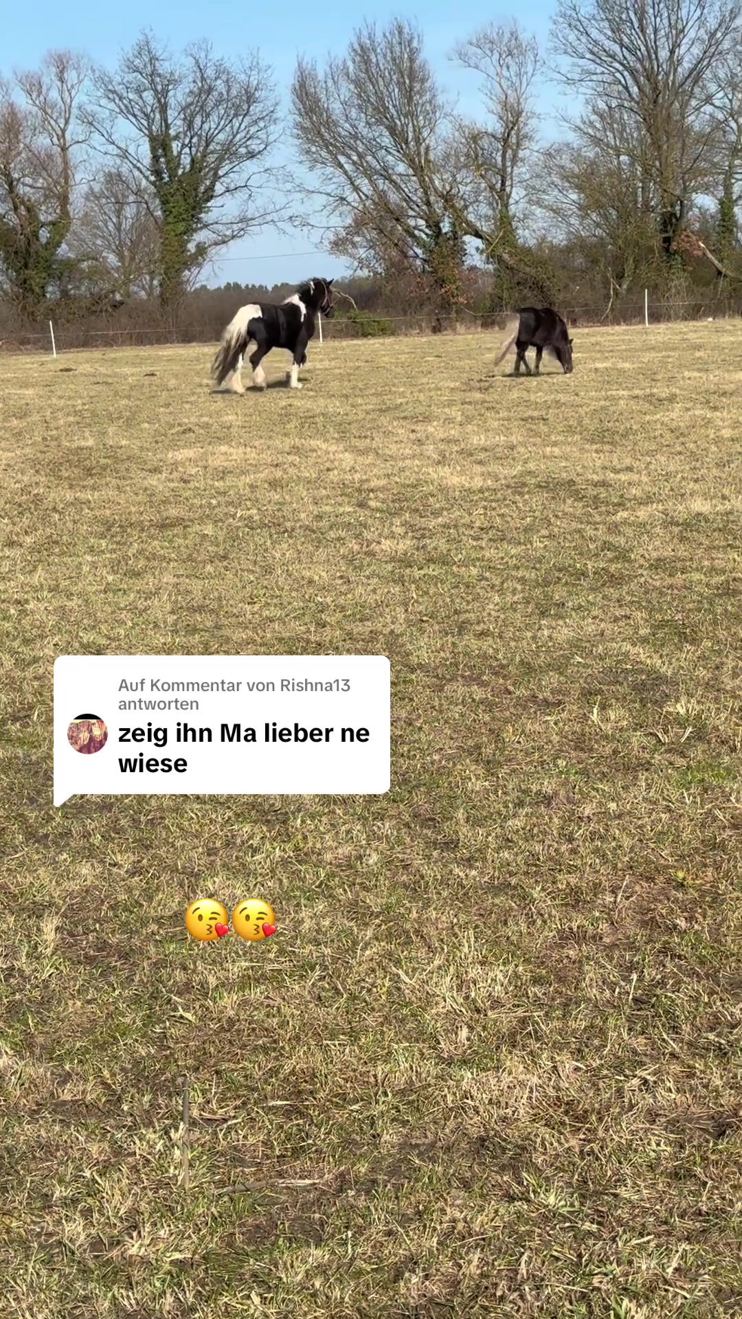 @Horses
