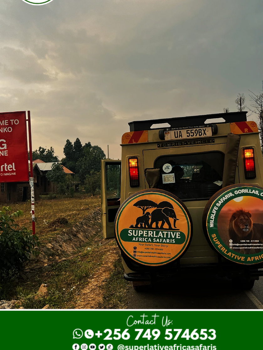 @Superlative Africa Safaris