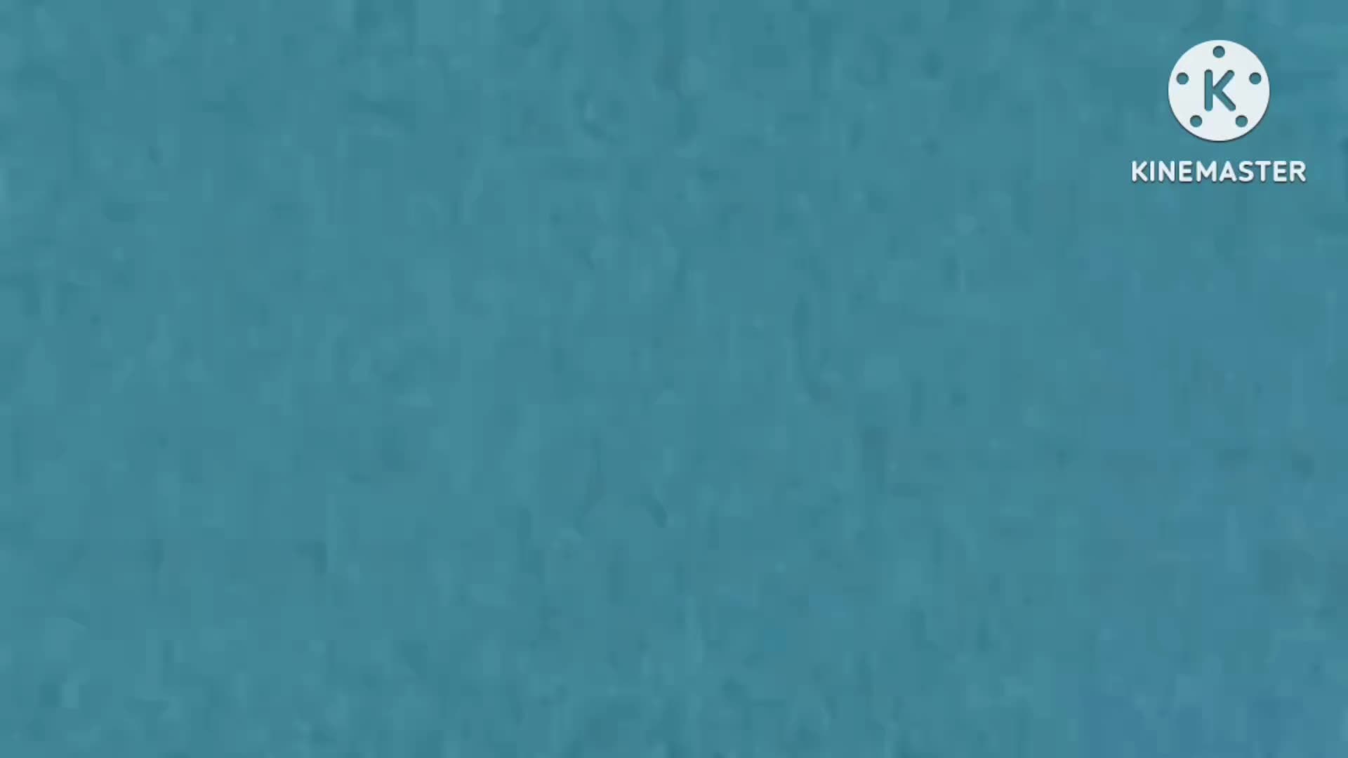 @fifachairerk