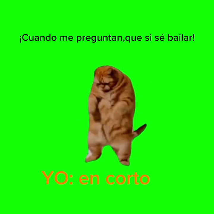 @serapi.9