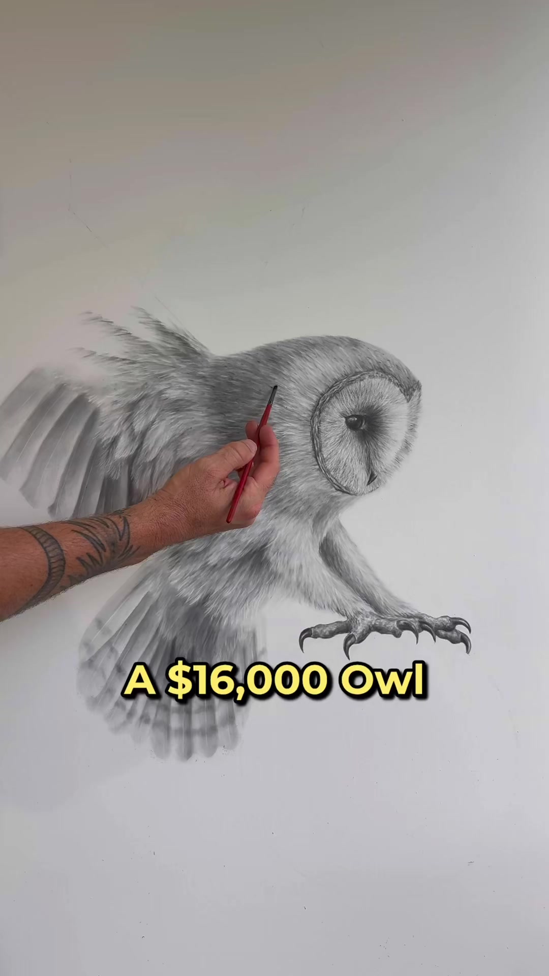 @Ashvin Harrison