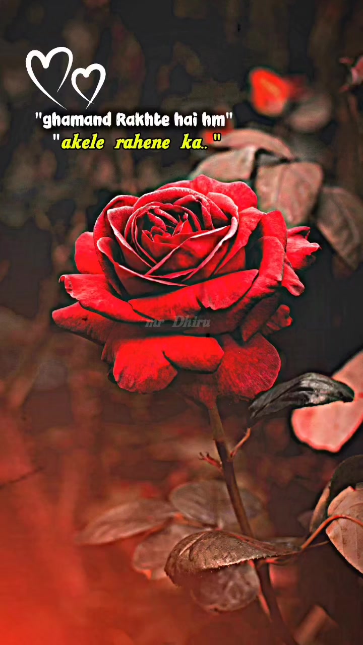 @rajkumarraja100
