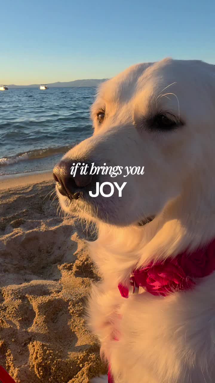 @DoggieMamaFurever&hearts;️🐶