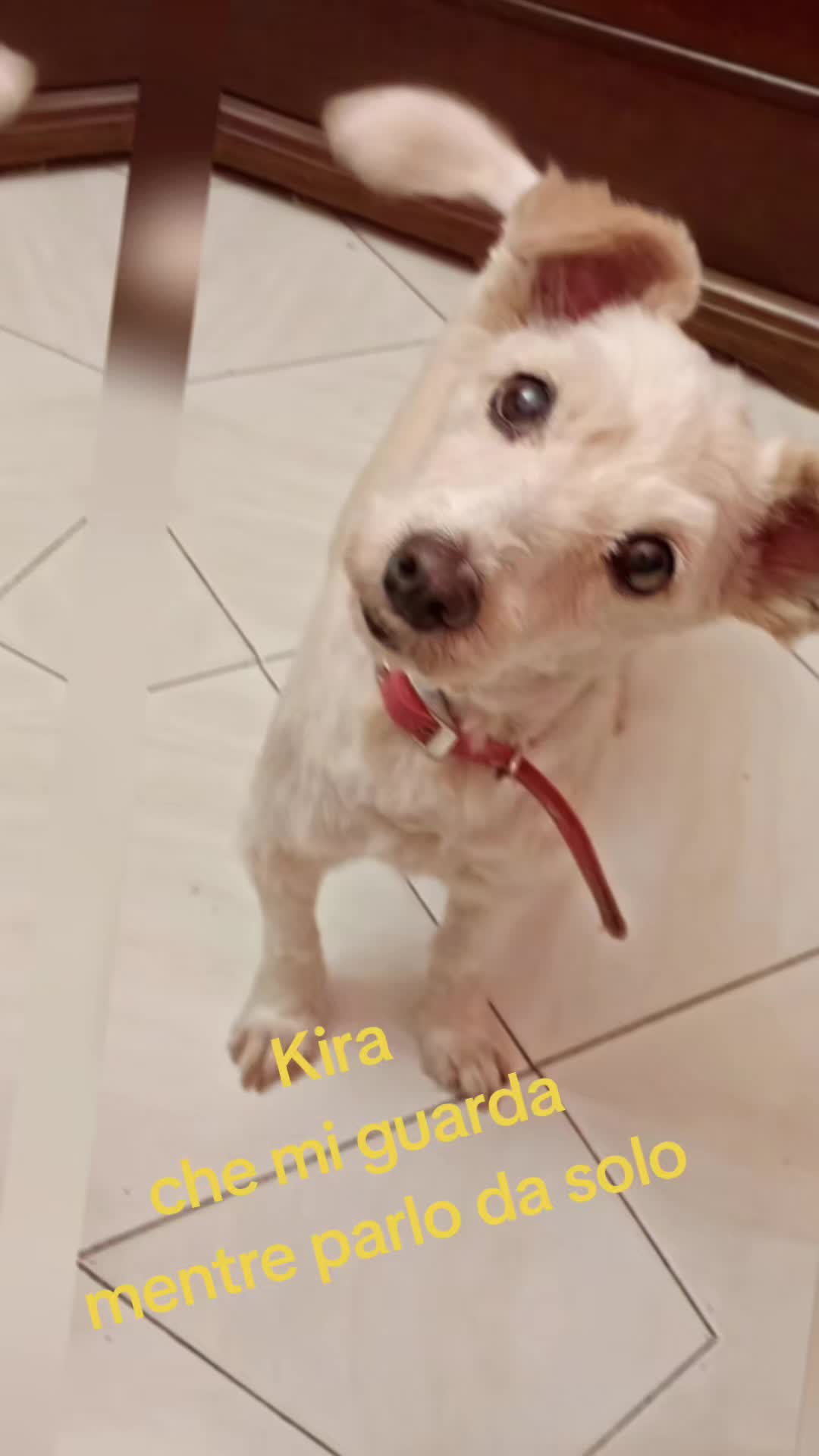 @Paolo