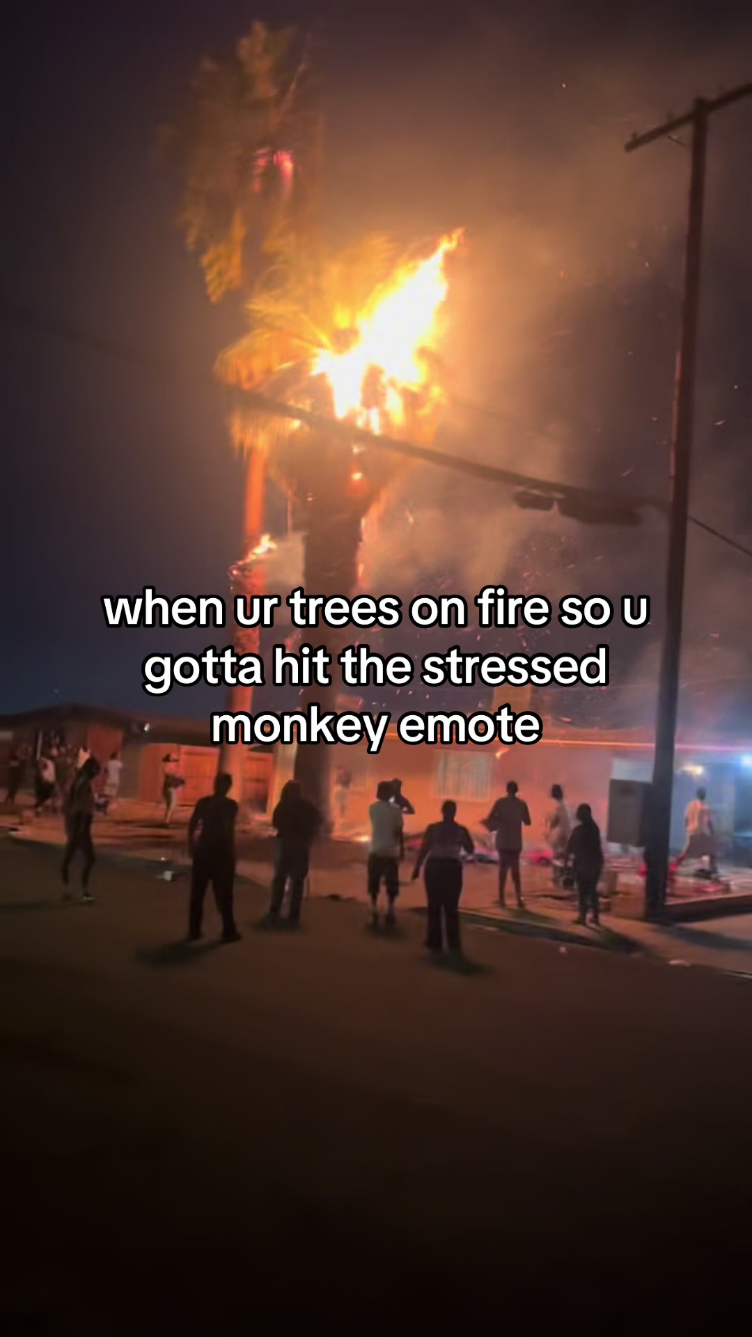 @mocha