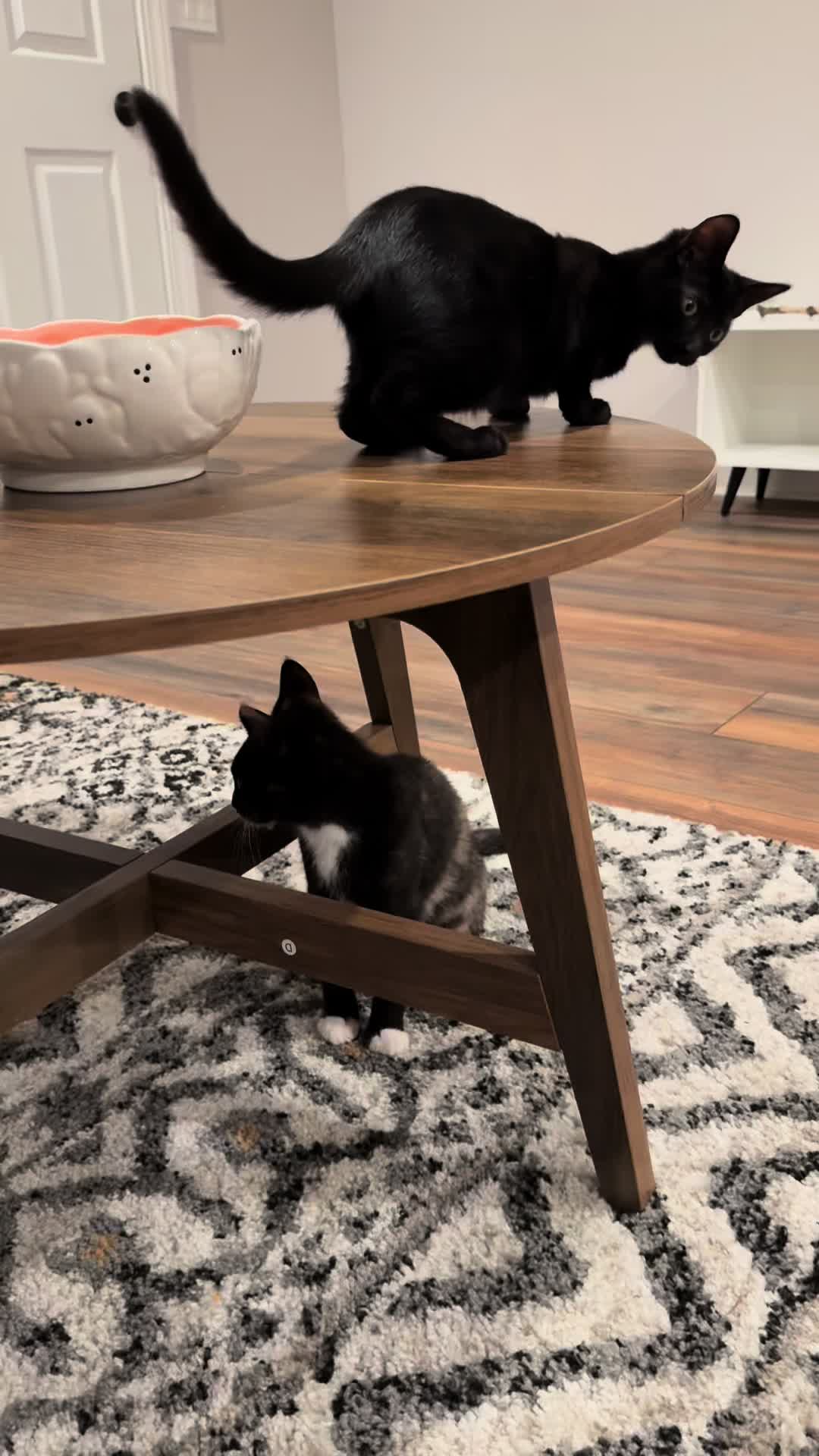 @KrazyKatz