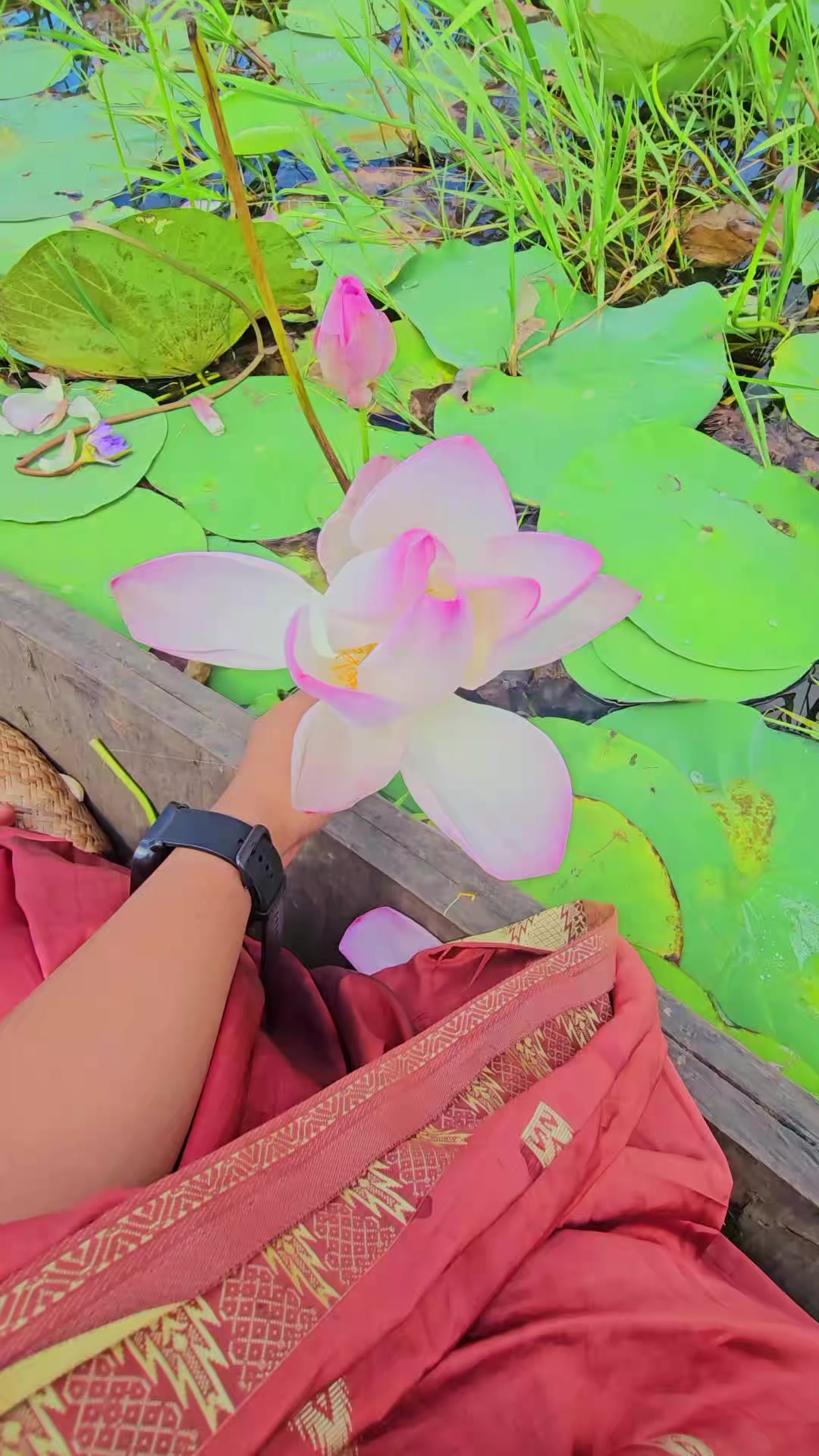 @🍒🍒ননী🍒🍒
