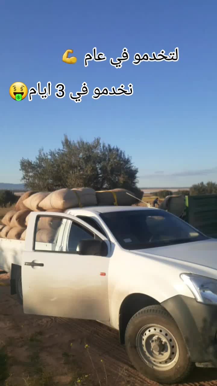 @Mohamed Amine jlali