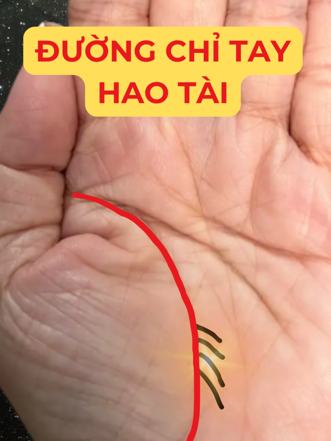 @Học Xem Chỉ Tay