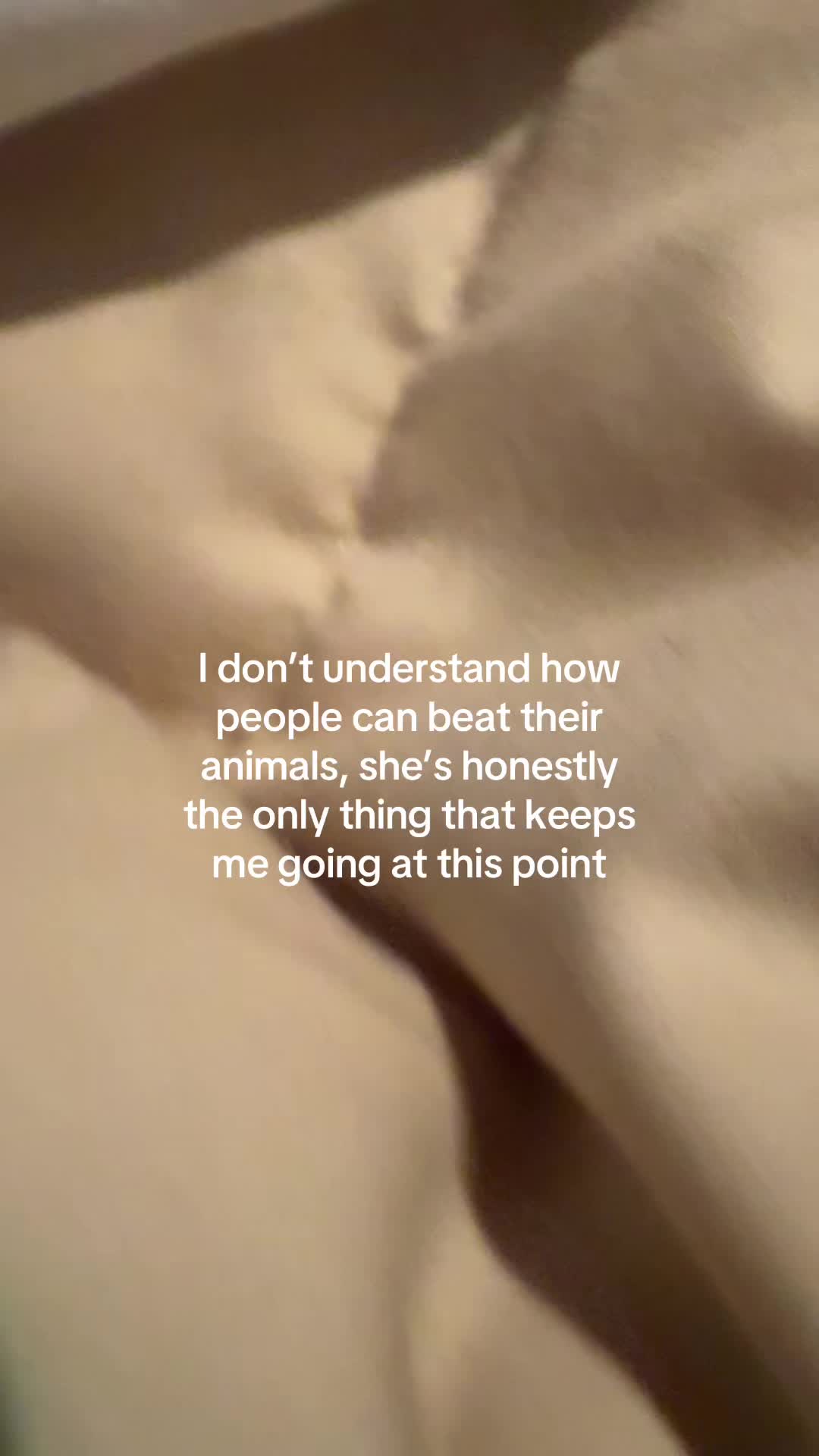 @🐝❤️