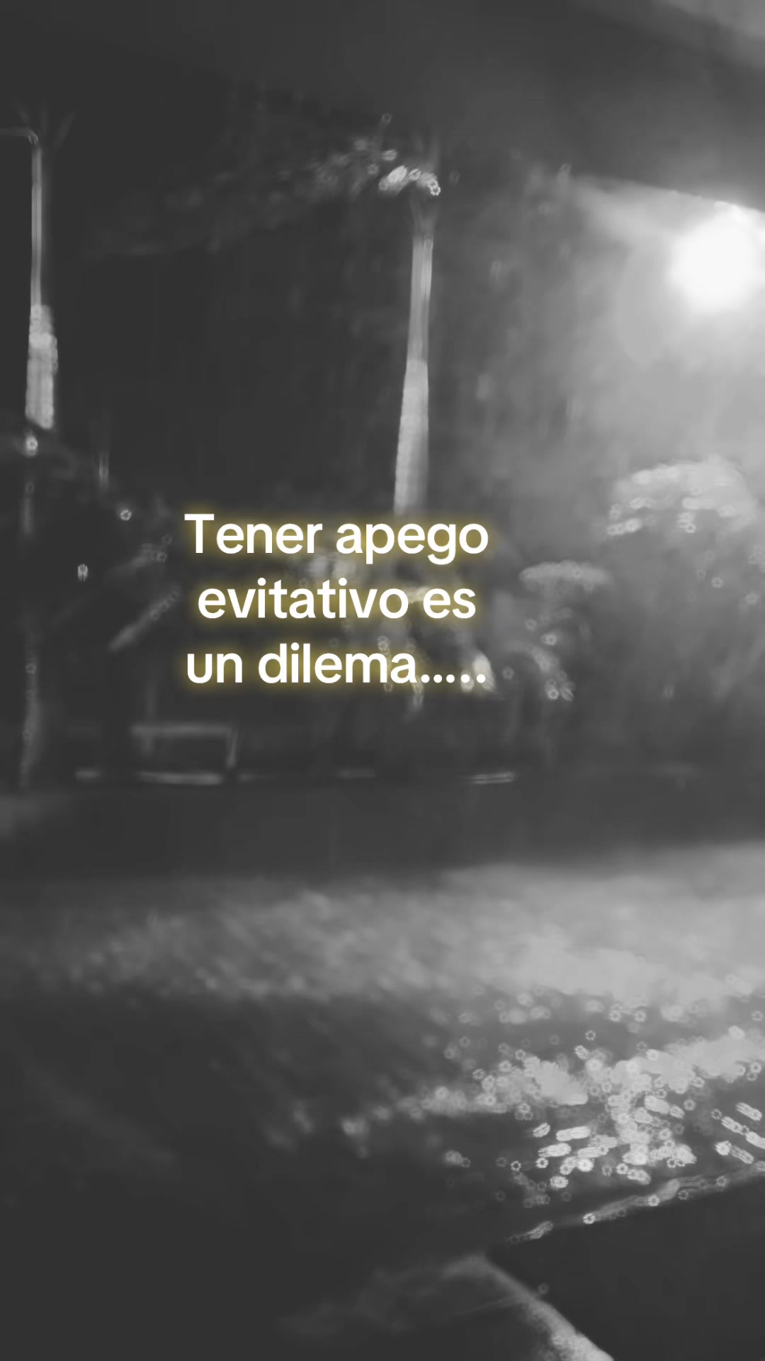 @mundo8881