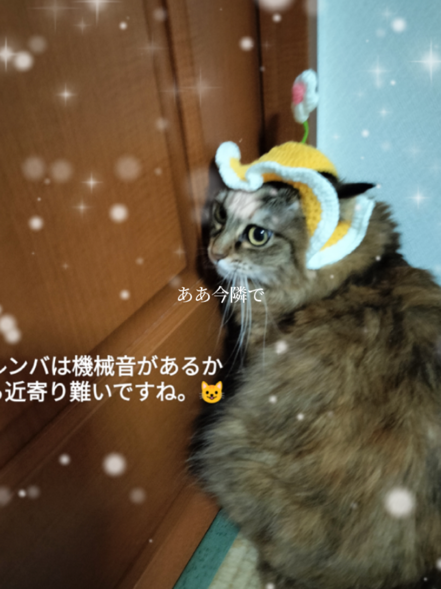 @user42931682735834