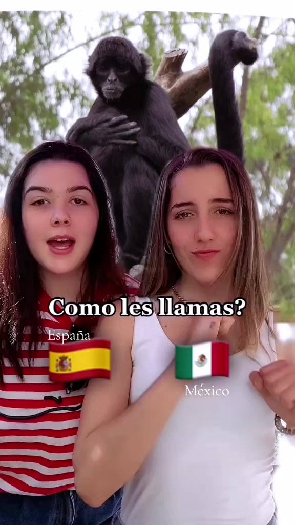 @PeterGhost🇲🇽✈️