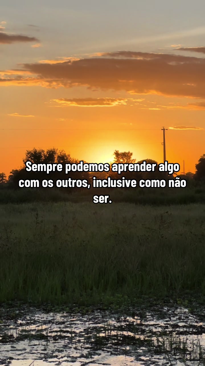 @diolina2_