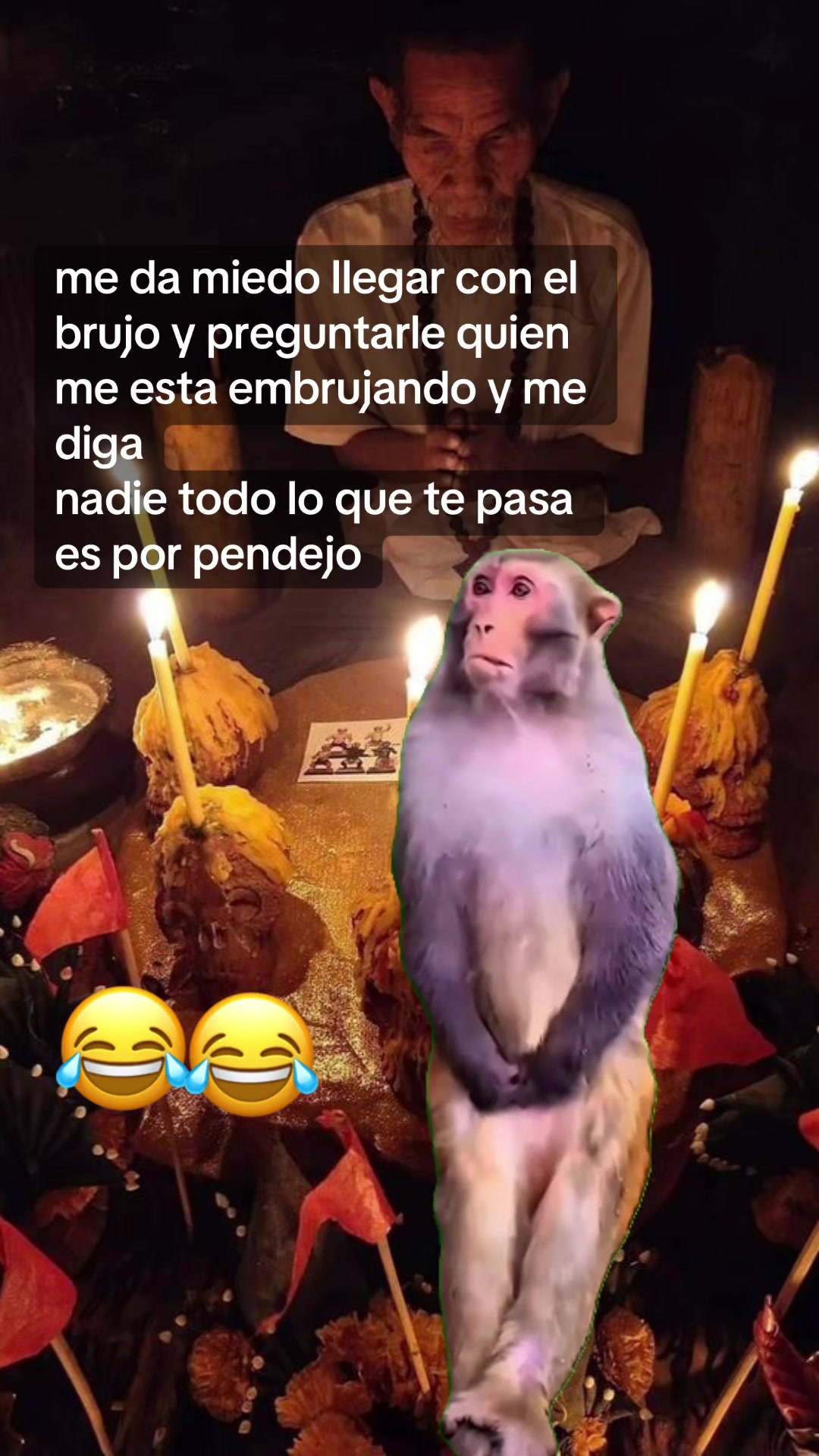 @José Francisco olmedo