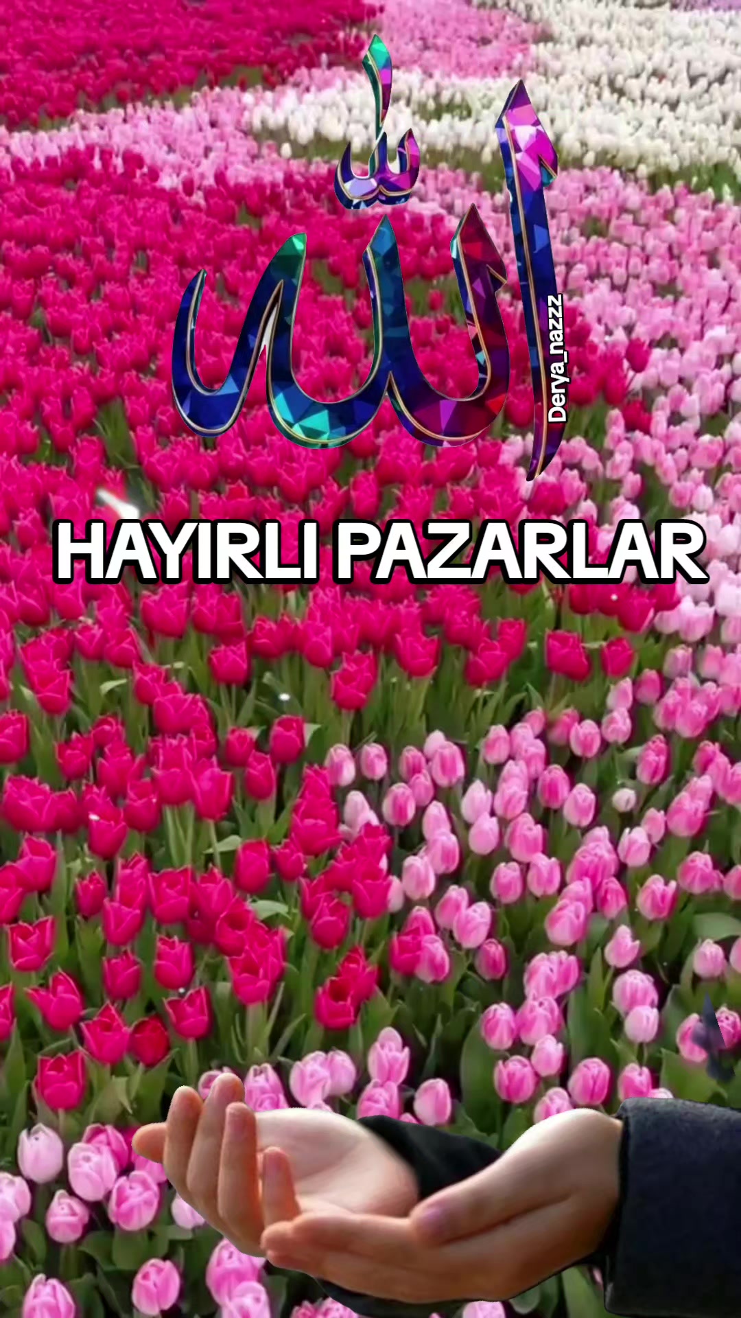 @💕Derya_nazzz💙