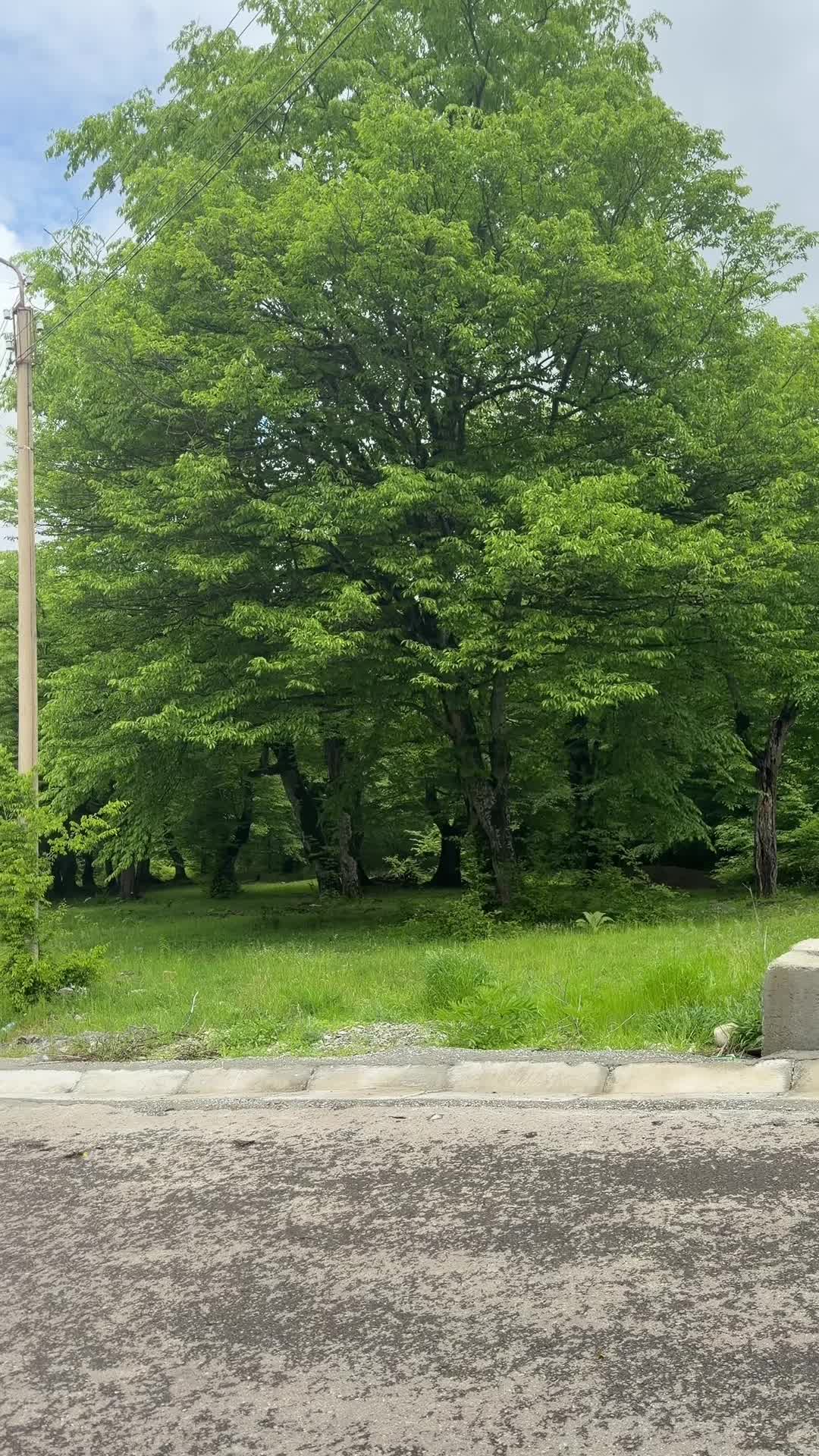 @KritiK®️