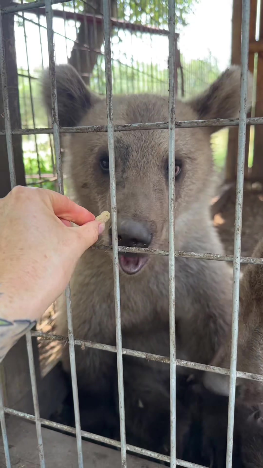 @Texas Wildlife Park