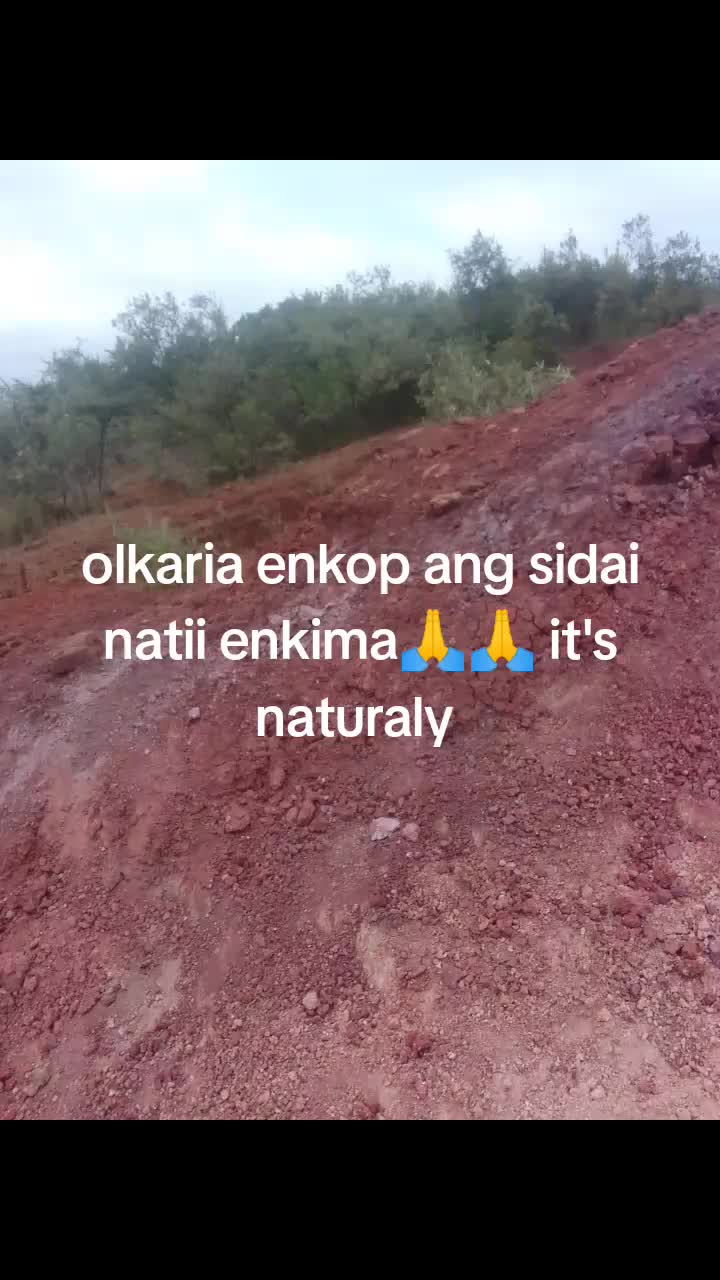 @kisotu malit