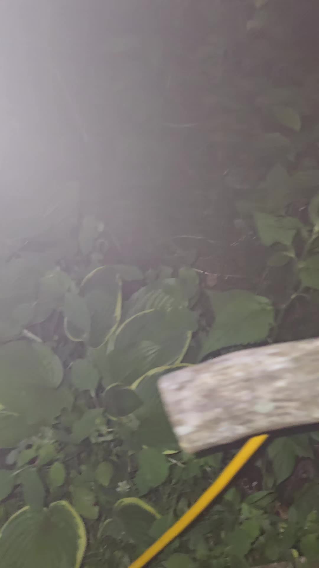 @wowbender