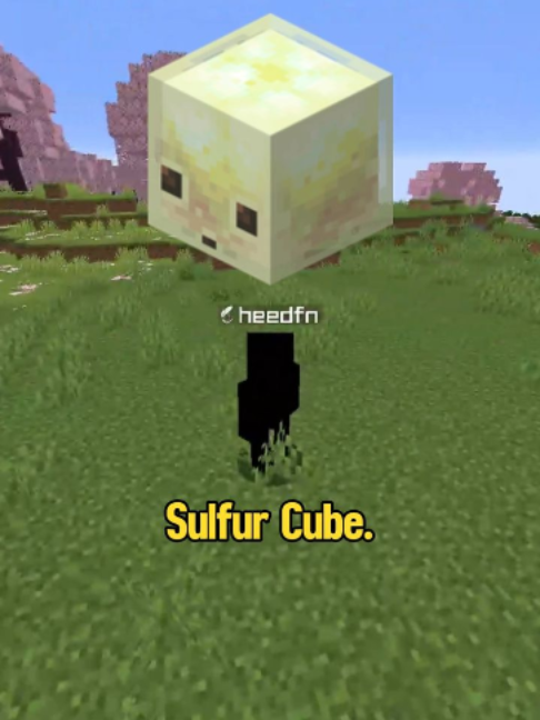 @Heedfn