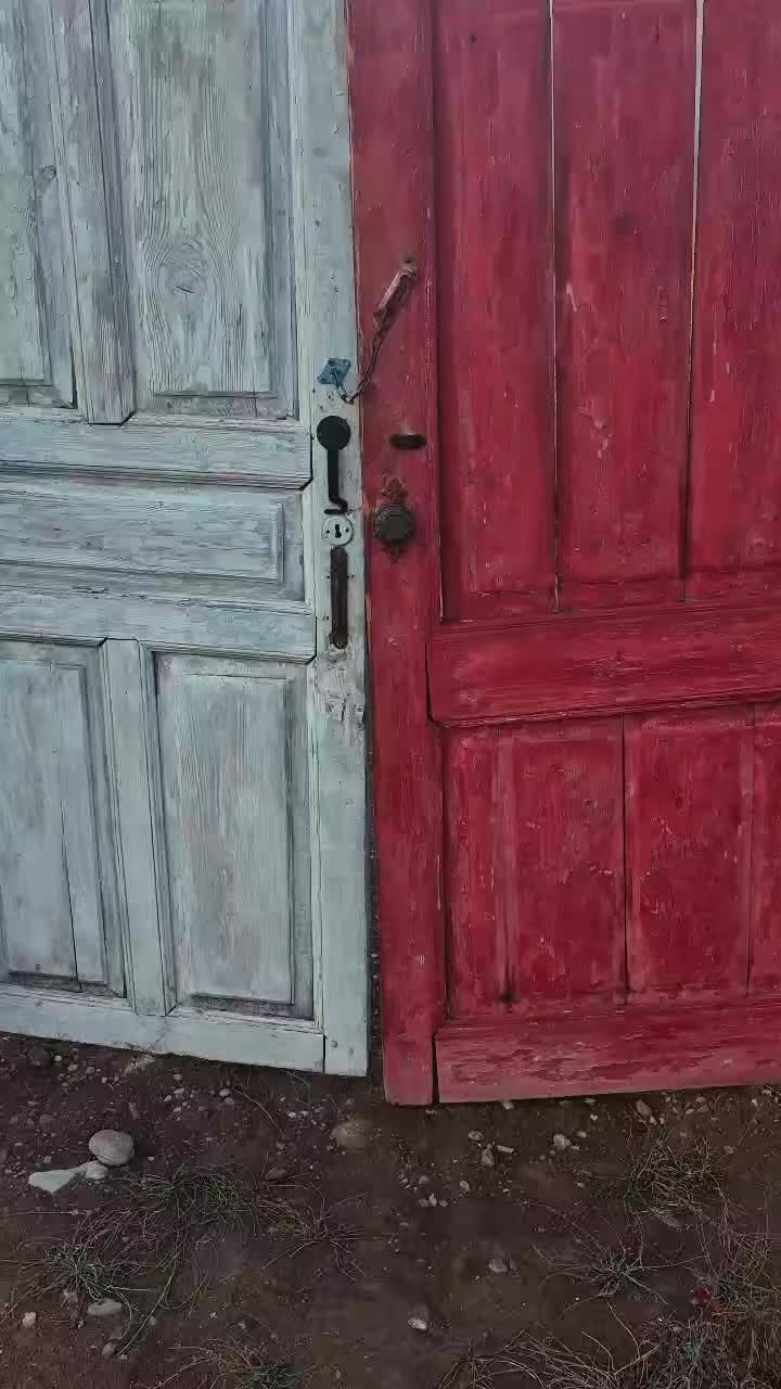 @Թութակներ🦜🐕🦺🐇