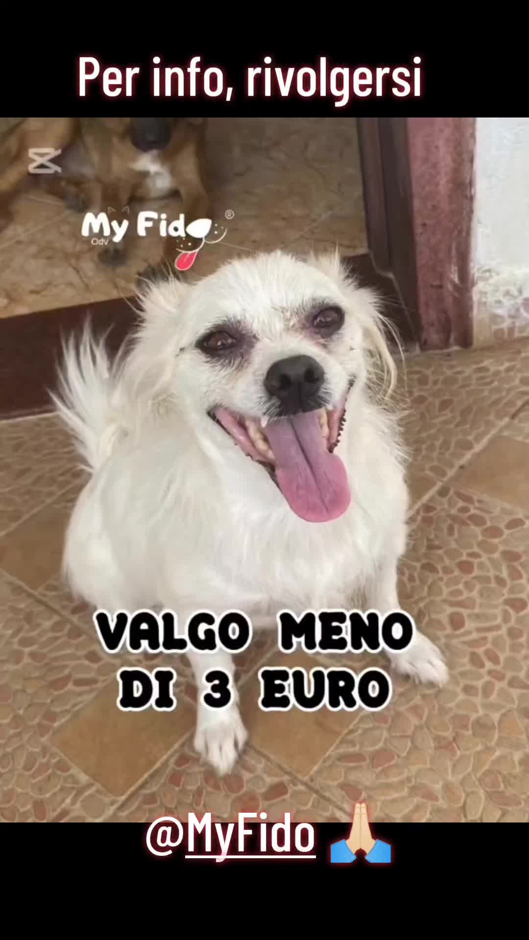 @VENNE DAL FREDDO 🥶