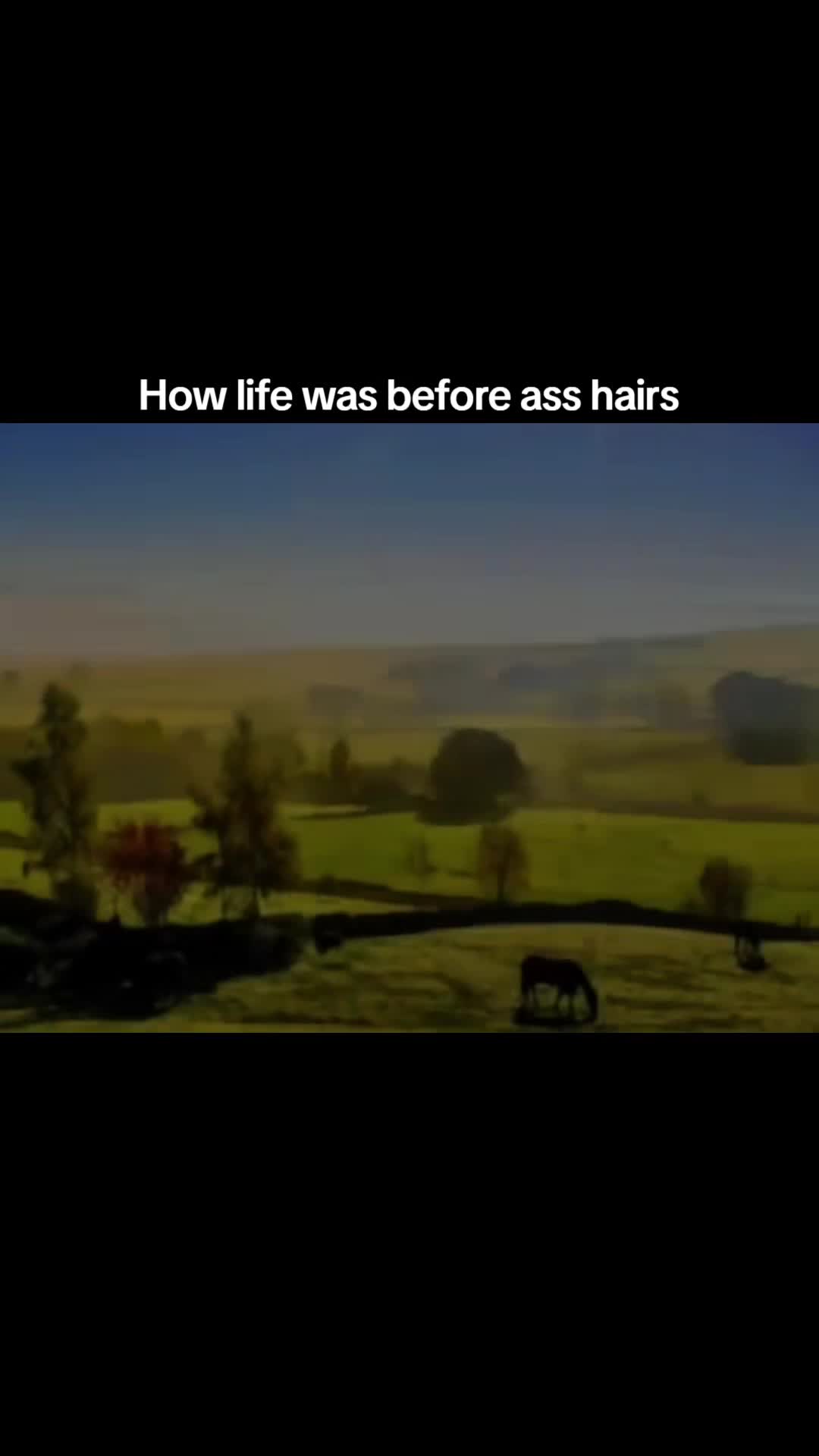 @Memezz.R.Us
