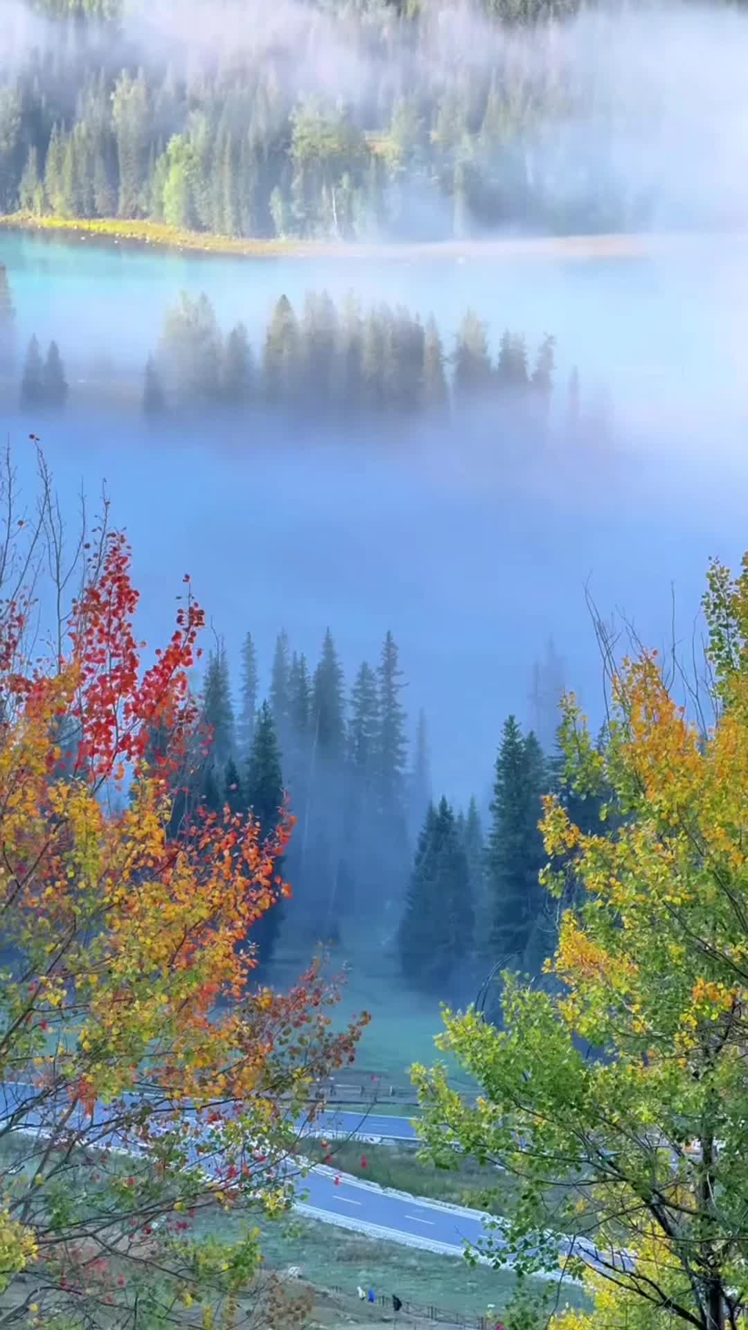 @naturallandscape
