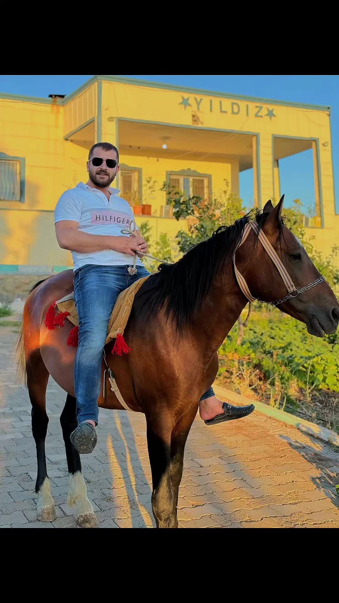 @Yunus Demir