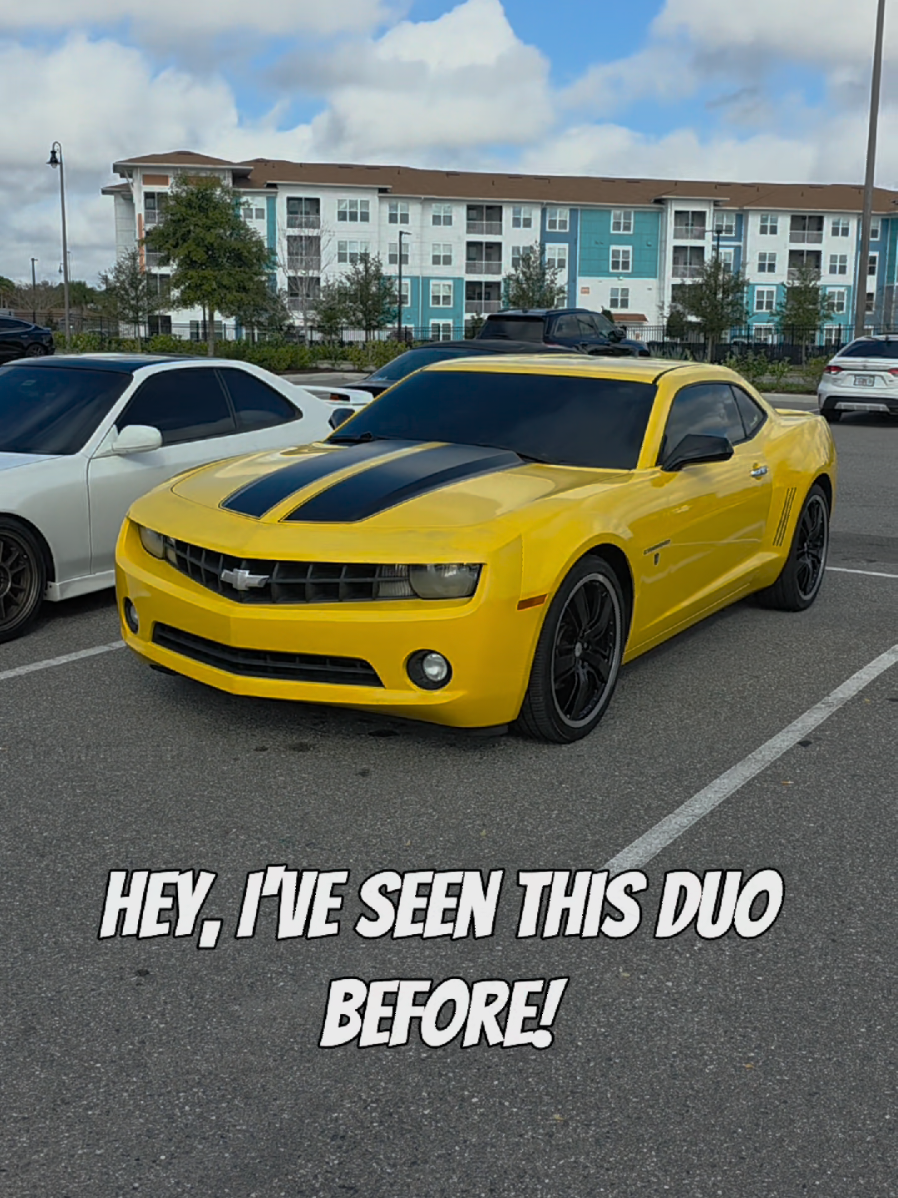 @Camaro Bee-127