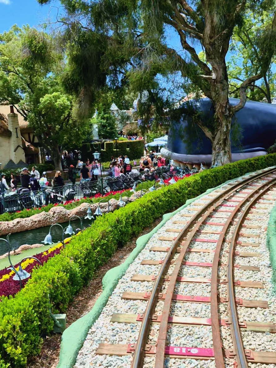 @✨️ Disney Vieja ✨️