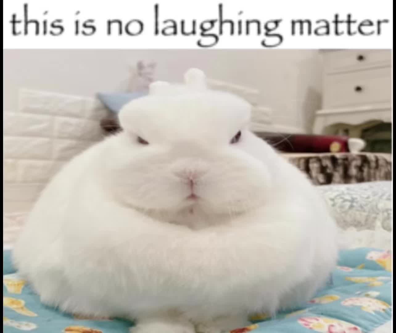 @vananir0